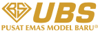 logo-ubs-png 1